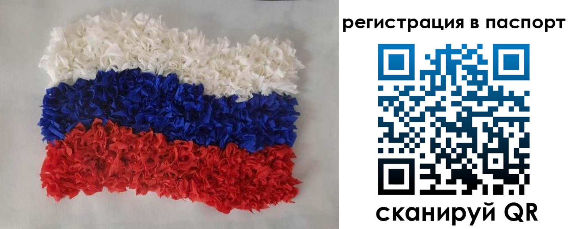 прописка регистрация в Торопеце